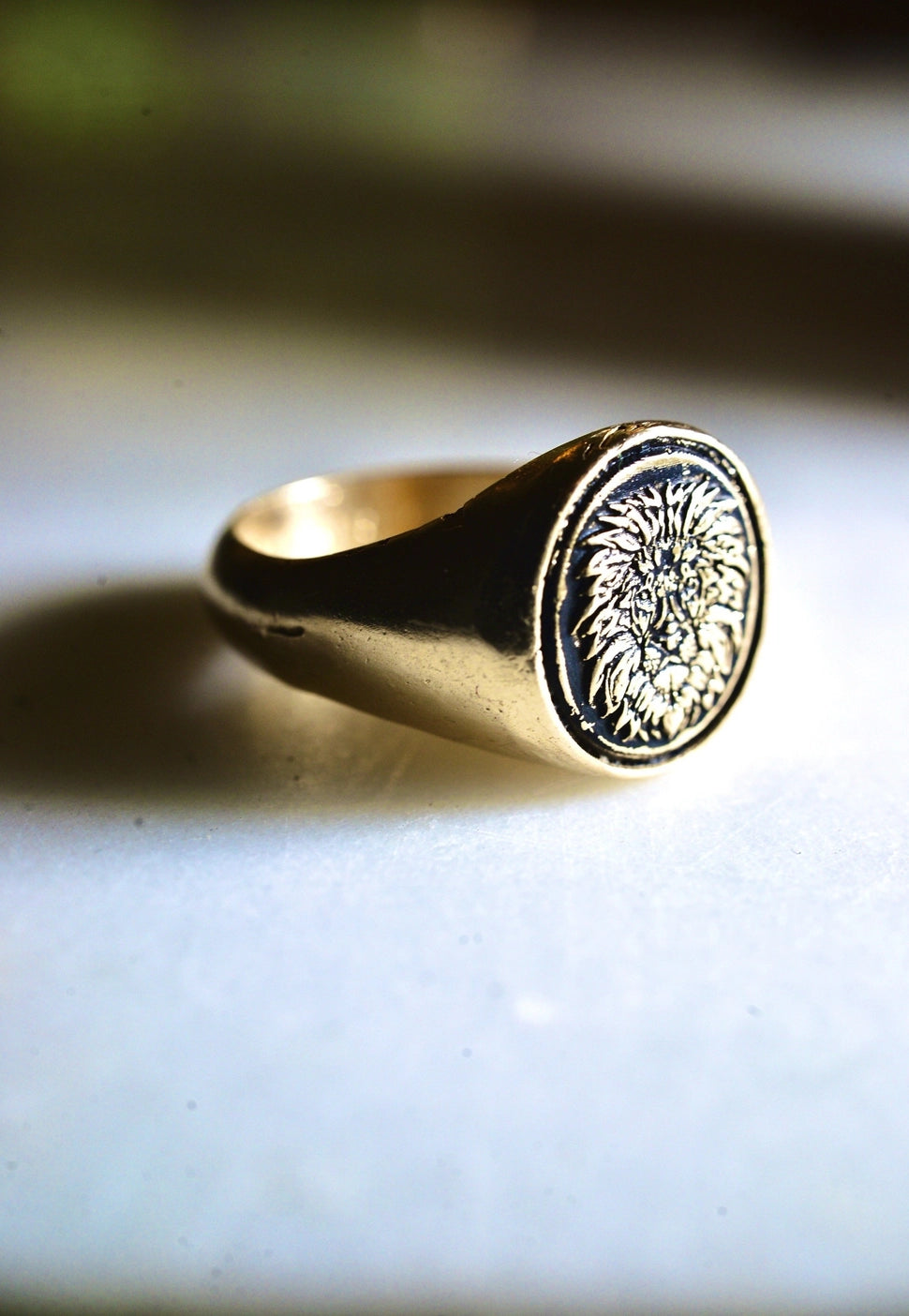 The Guardian Ring