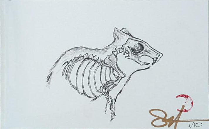 Scott Speegle: Prints