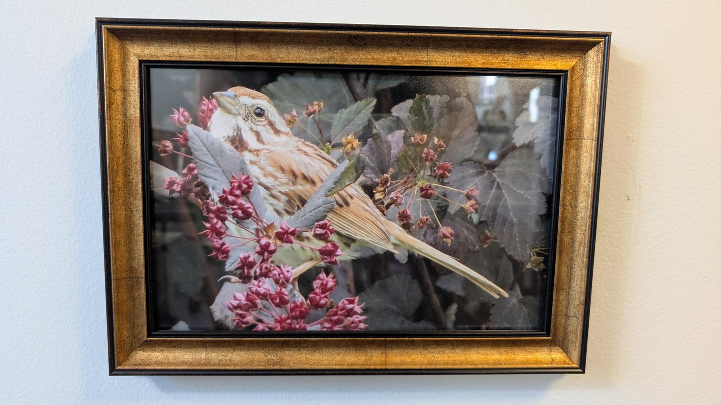 Luisa Ossa: Sparrow in Red Flowers