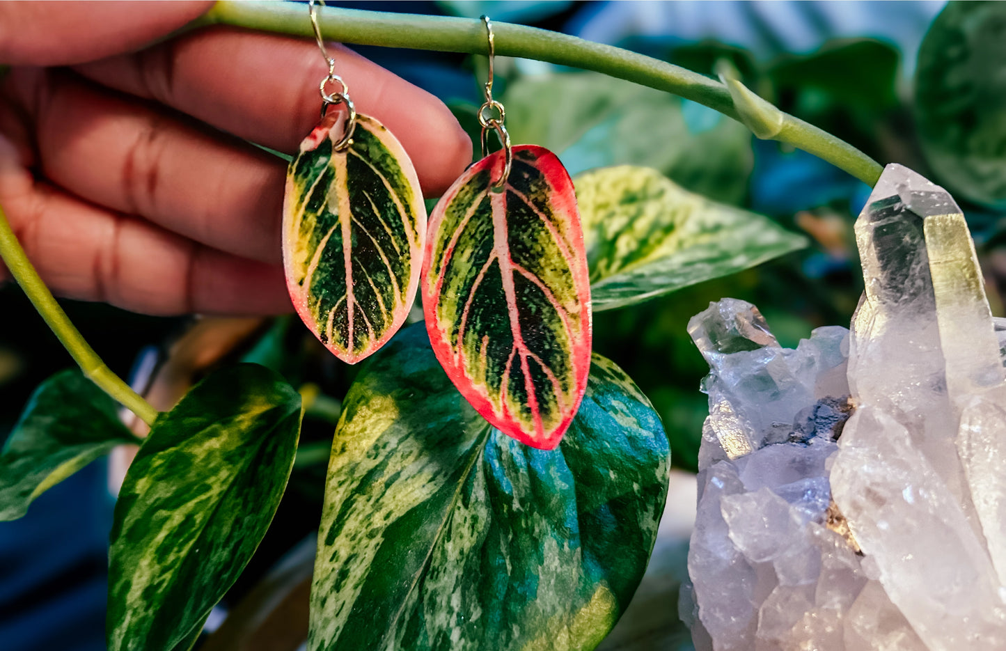 Aglaonema Leaf Earrings