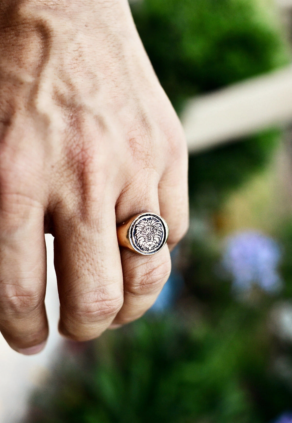 The Guardian Ring