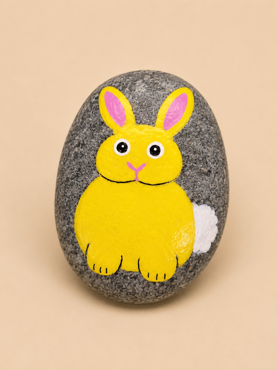 Nancy Green- Hand Painted Pet Rock