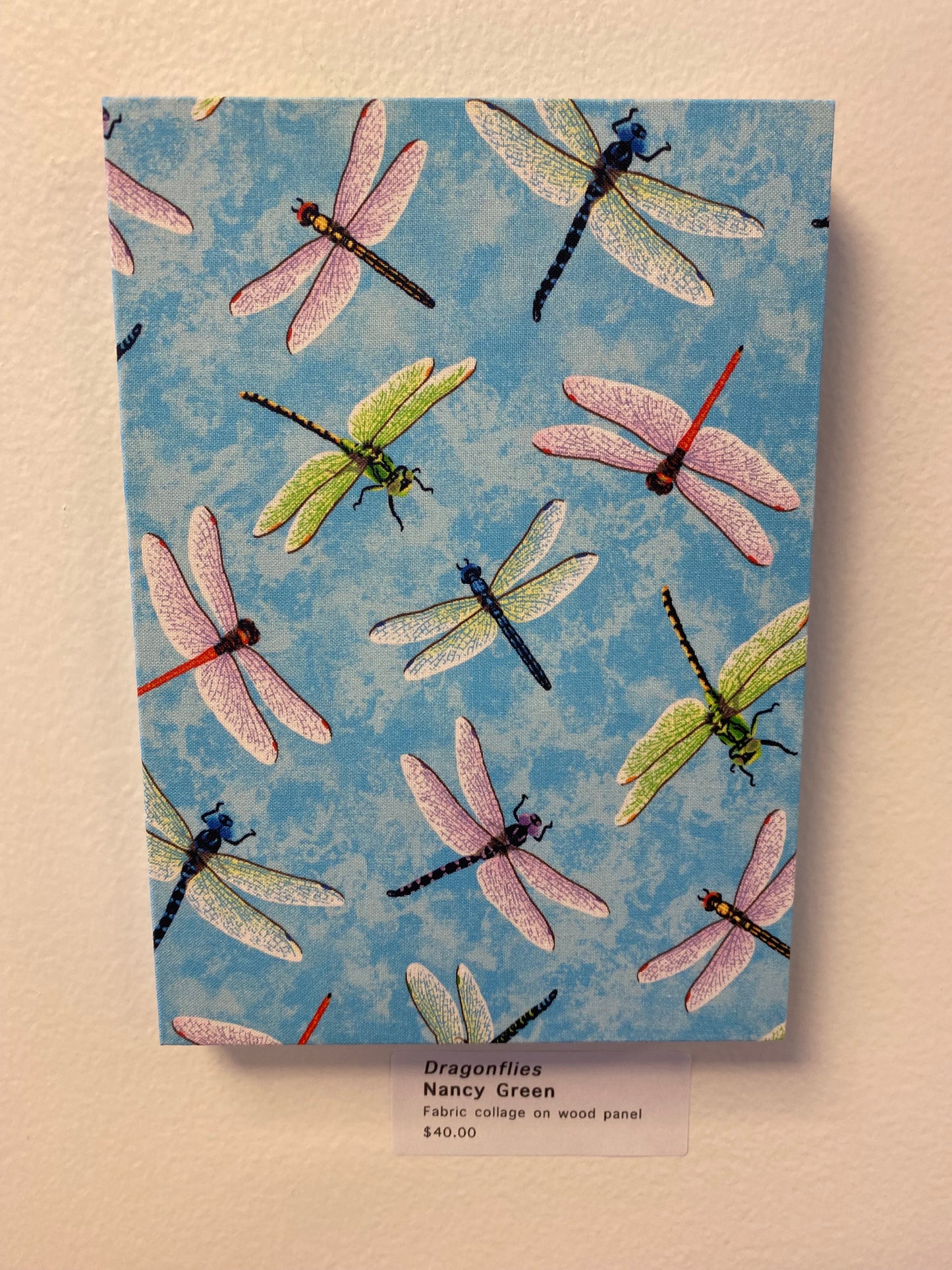 Nancy Green: Dragonflies