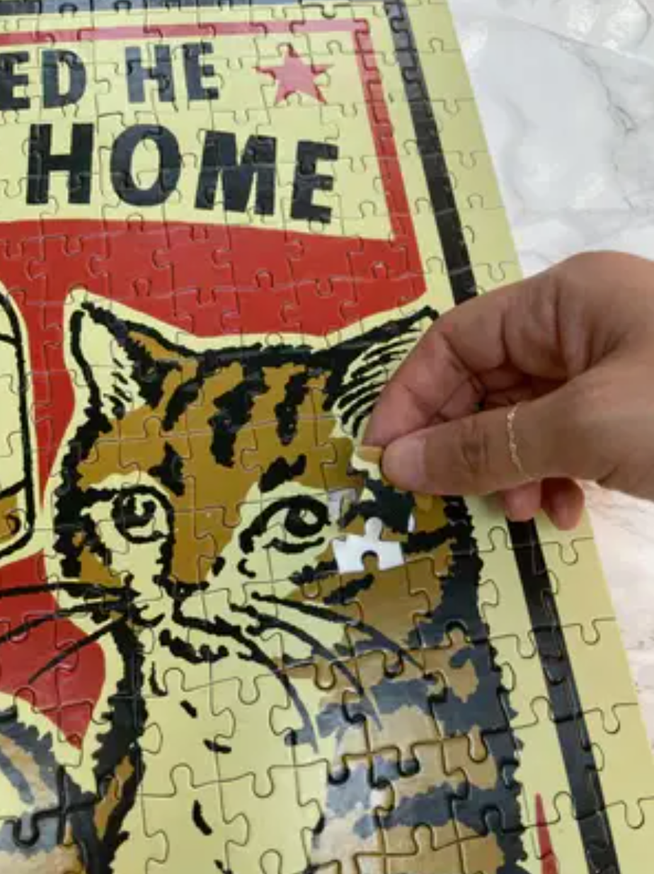 Reading: A Jigsaw Puzzle By Arna Miller and Ravi Zupa