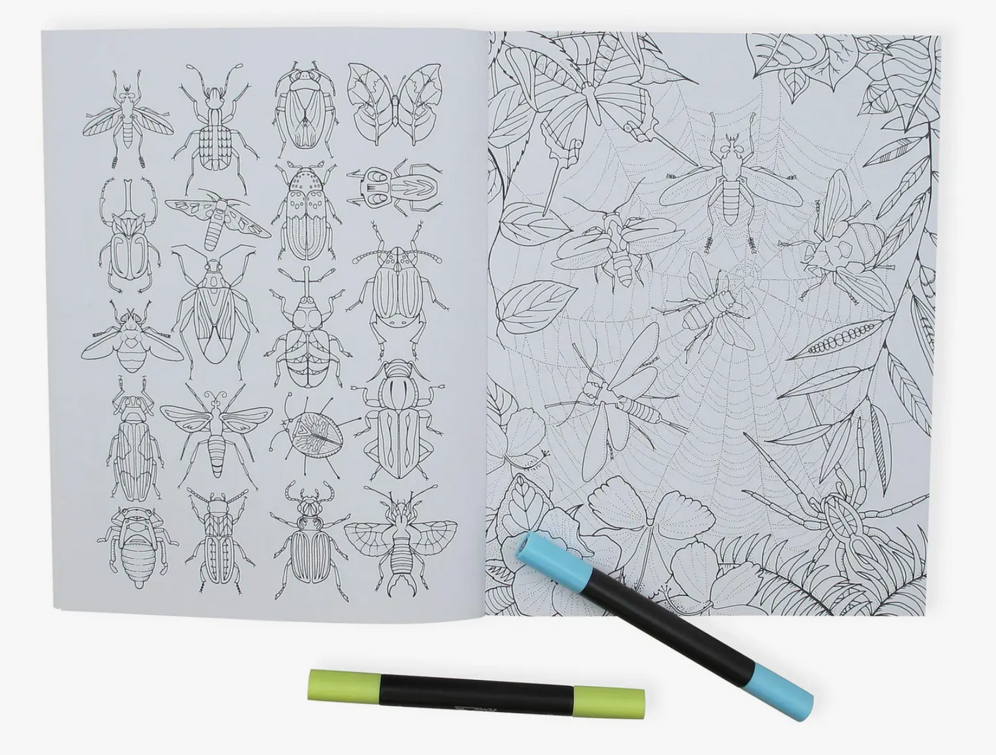 Wonderful Insects Coloring Book