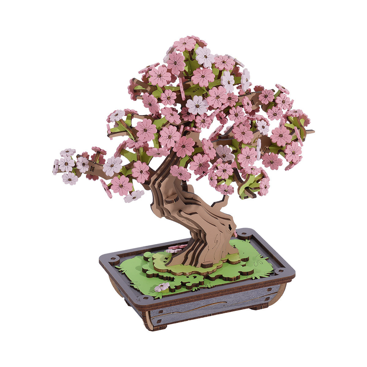 DIY Kit- SAKURA BONSAI