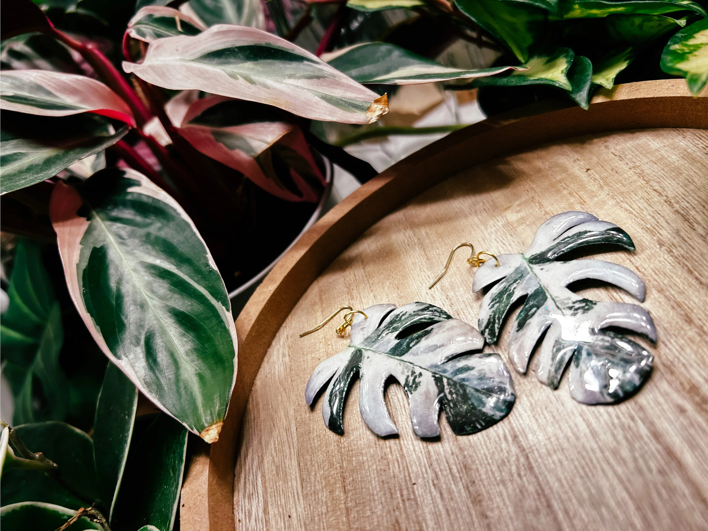 Monstera Albo Leaf Earrings