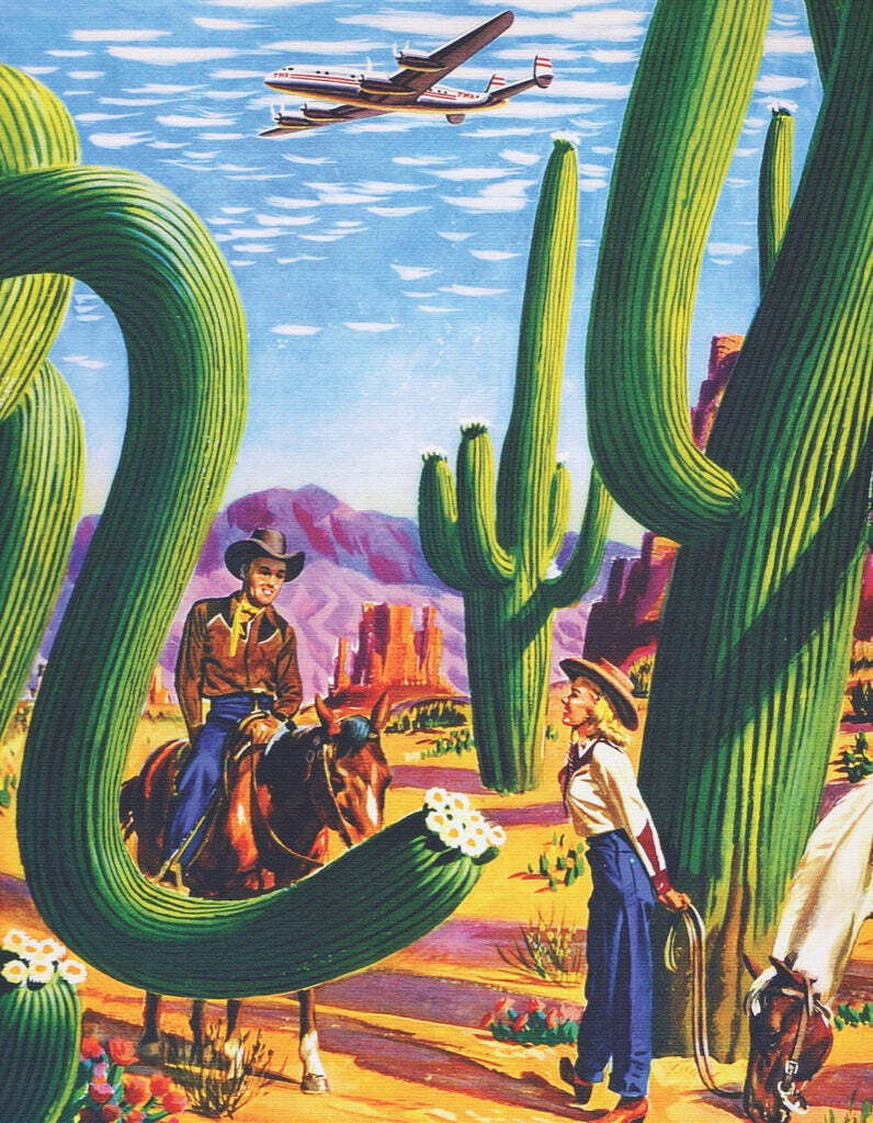 Cactus country 100 Piece Puzzle