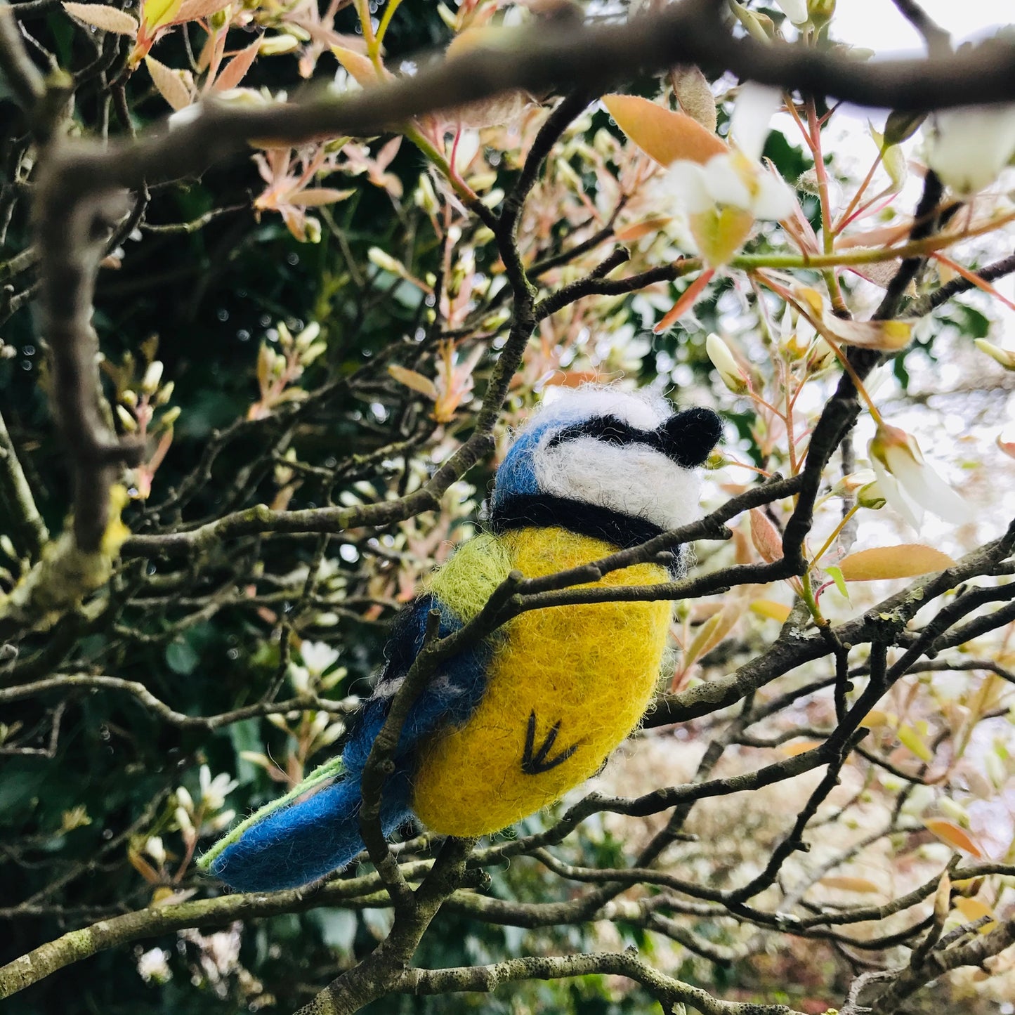 Handmade Felt Bella the Blue Tit
