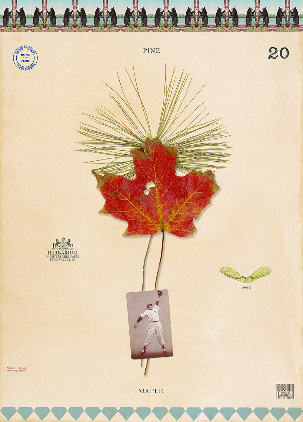 Baseball Bat Tree Giclee Print by MF Cardmone