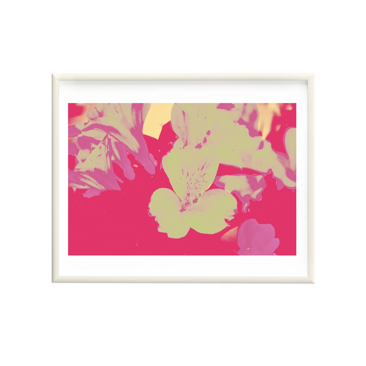 Quin Stone Alstroemeria Pink