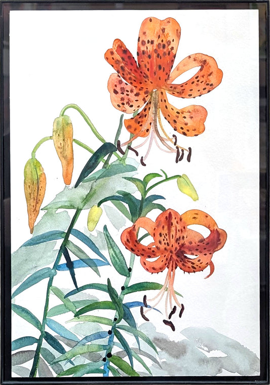 Tiger Lily, Limited Edition Print by Tiantian Li