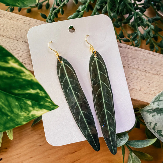 Queen Anthurium Leaf Earrings