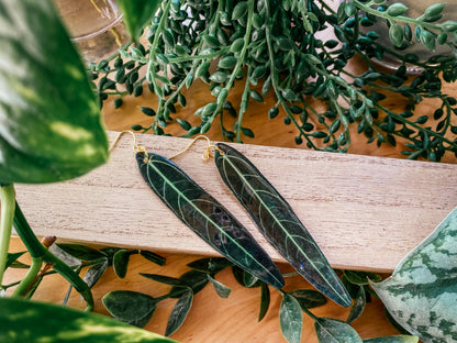 Queen Anthurium Leaf Earrings