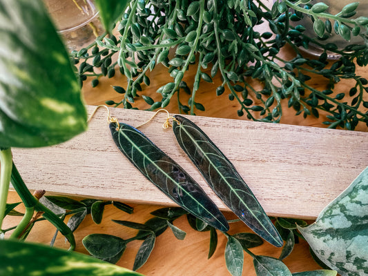 Queen Anthurium Leaf Earrings