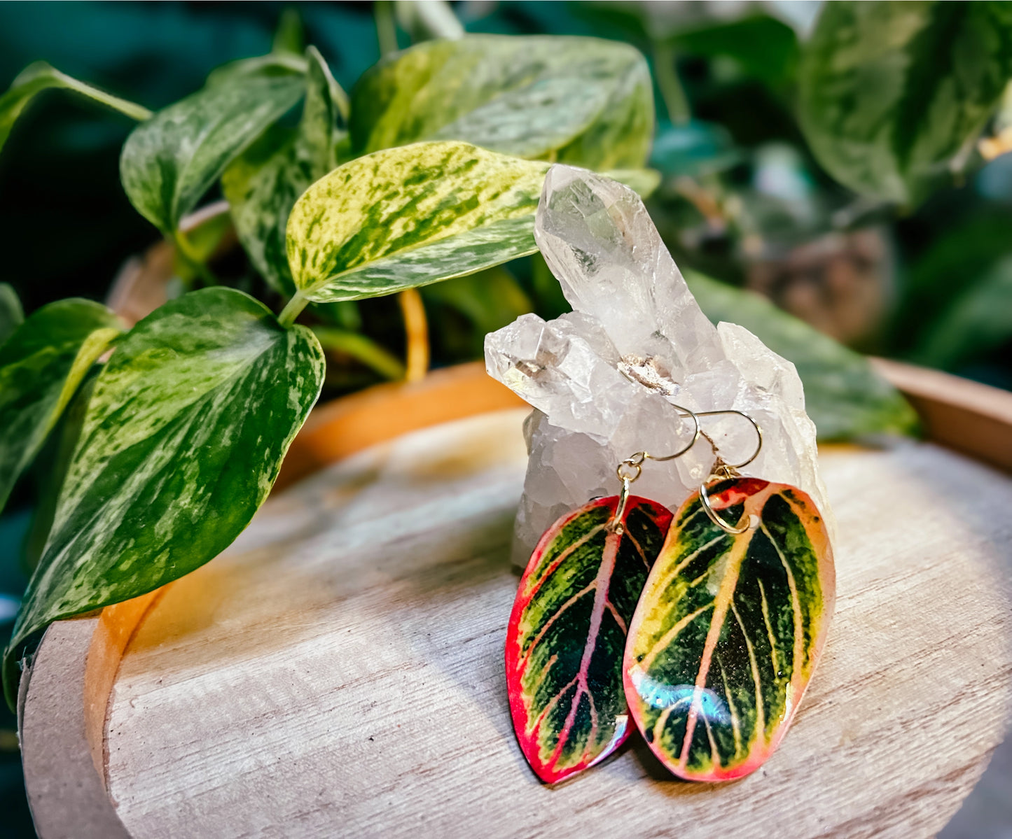 Aglaonema Leaf Earrings
