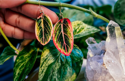 Aglaonema Leaf Earrings