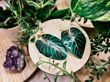 Philodendron Gloriosum Leaf Earrings
