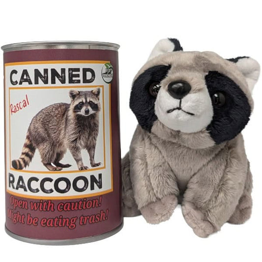 Rascal  the Canned Raccoon