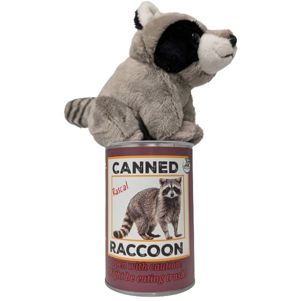 Rascal  the Canned Raccoon