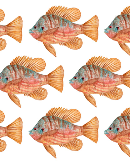 June G Paints: School of Goldfish