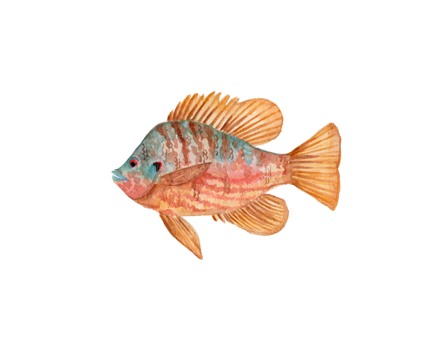 June G Paints: Goldfish
