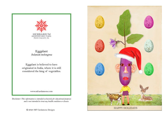 Holiday Notecards: Eggplant