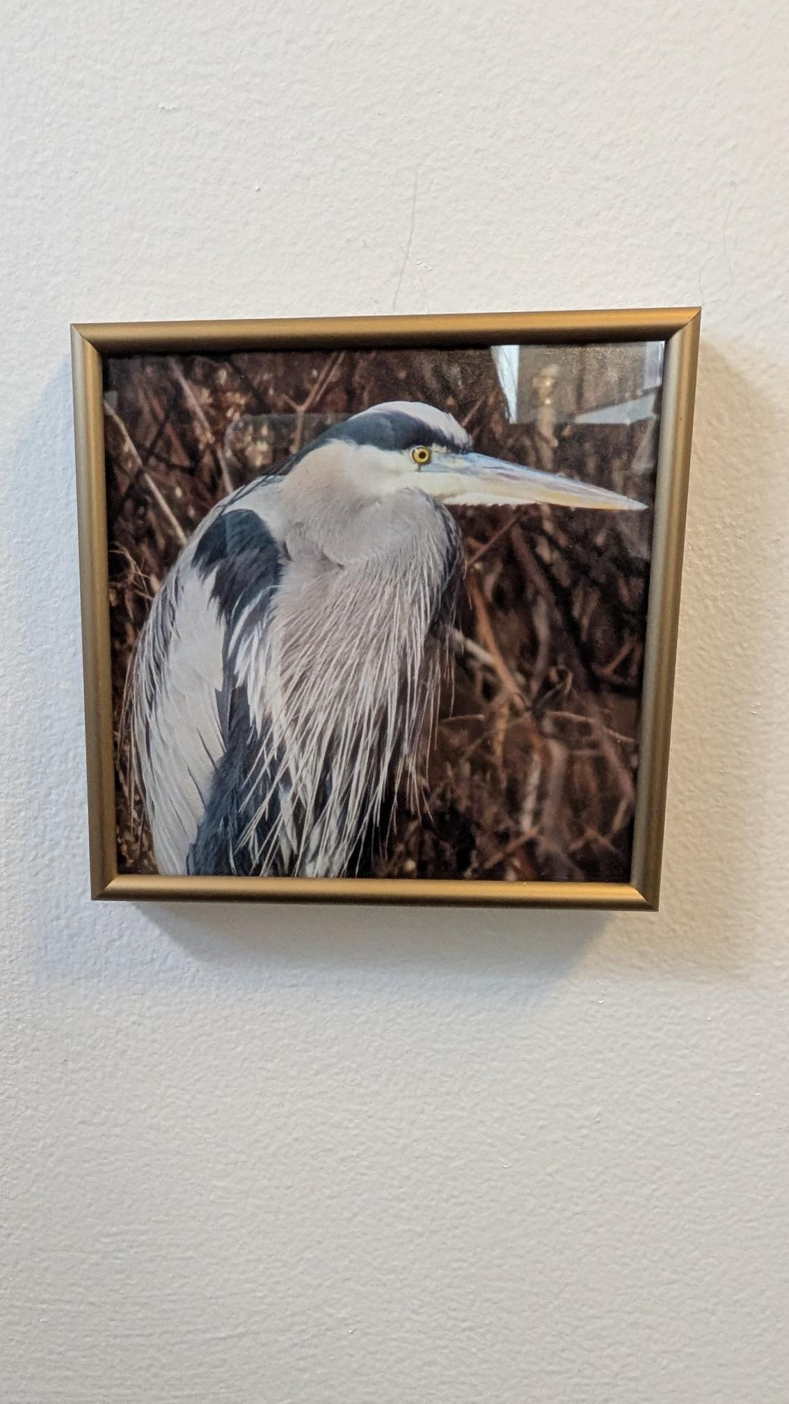 Luisa Ossa: Heron