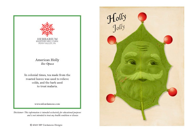 Holiday Notecards: American Holly