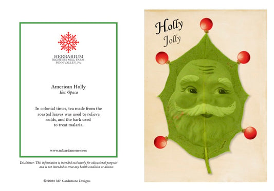 Holiday Notecards: American Holly