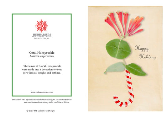 Holiday Notecards: Coral Honeysuckle