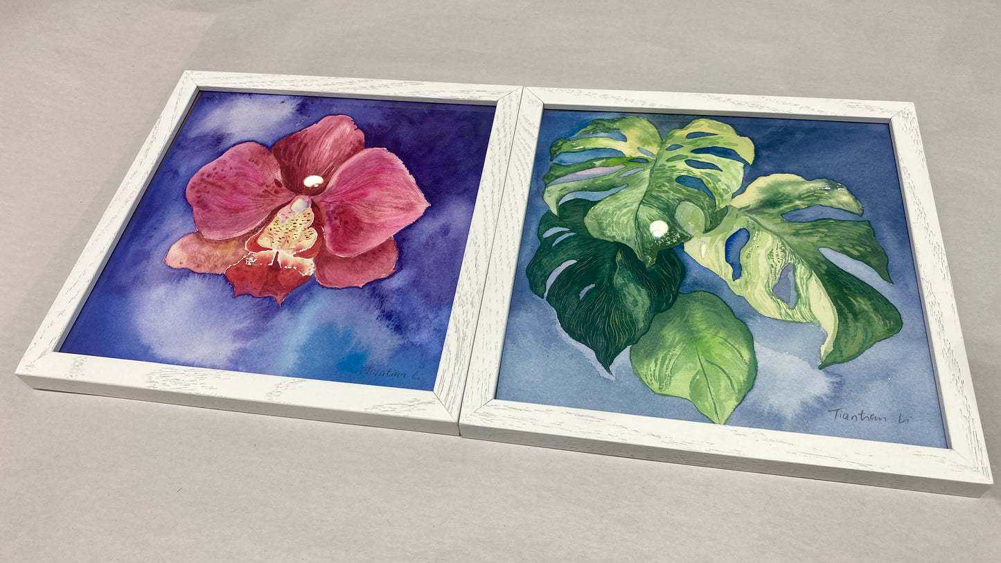 Tiantian Li- Orchid in Bloom & Monstera Study