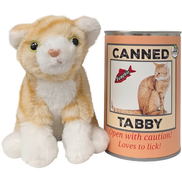 Pumpkin the Canned Tabby