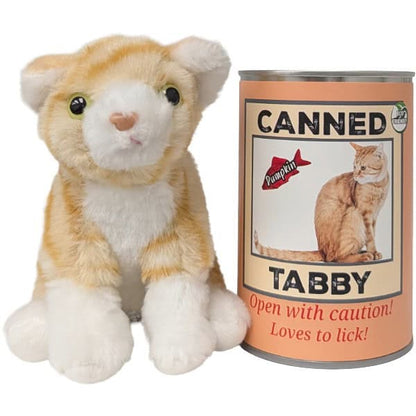 Pumpkin the Canned Tabby