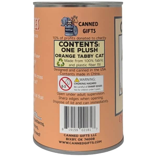 Pumpkin the Canned Tabby
