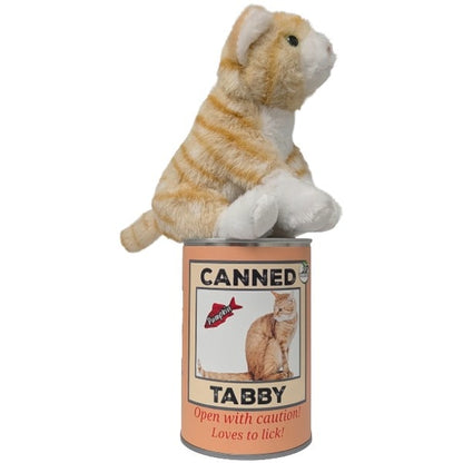 Pumpkin the Canned Tabby