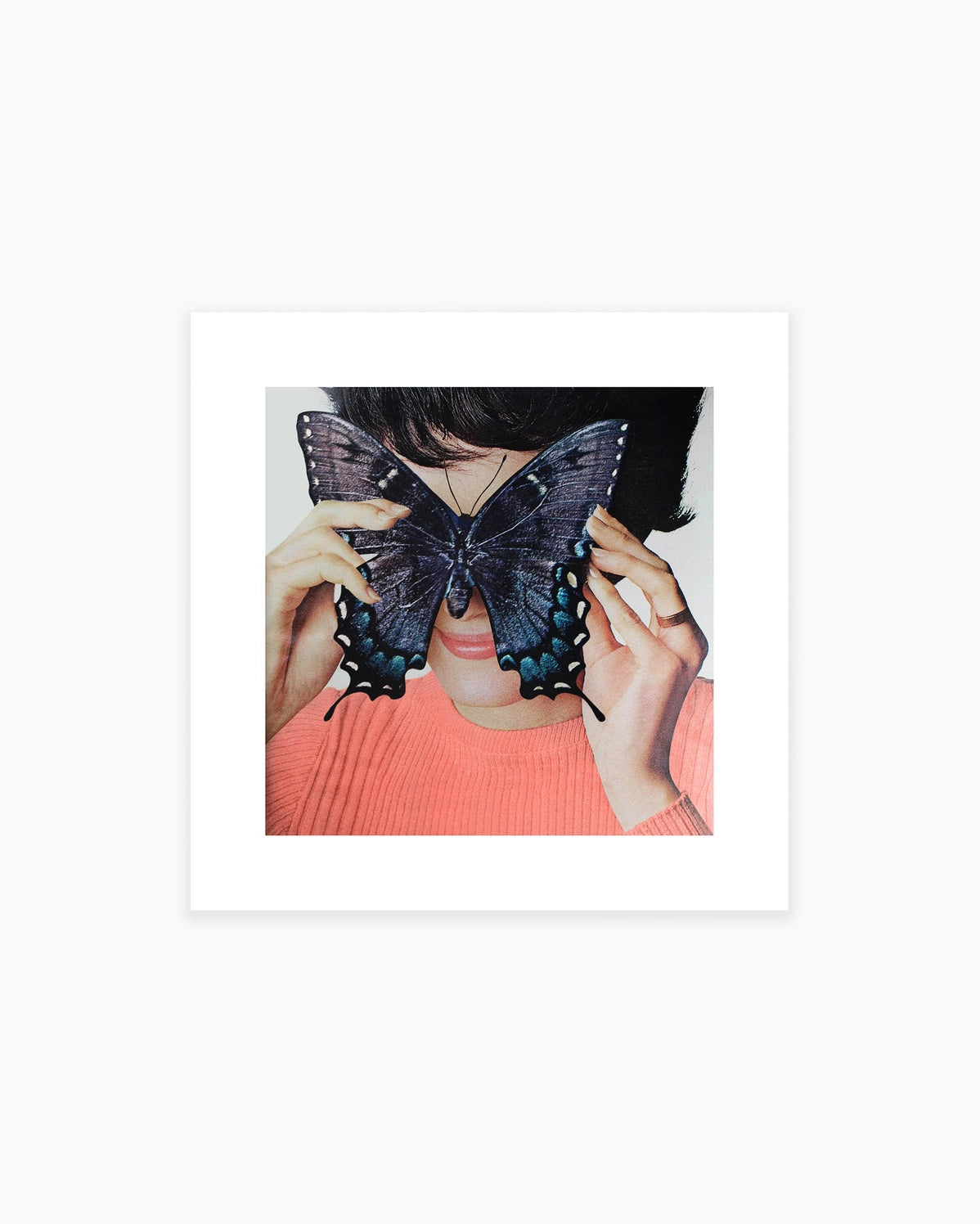 Morpho Butterfly, Open Edition Print by Julia Walck