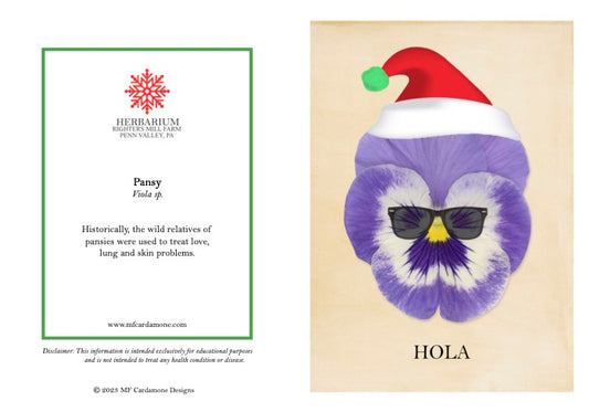 Holiday Notecards: Pansy