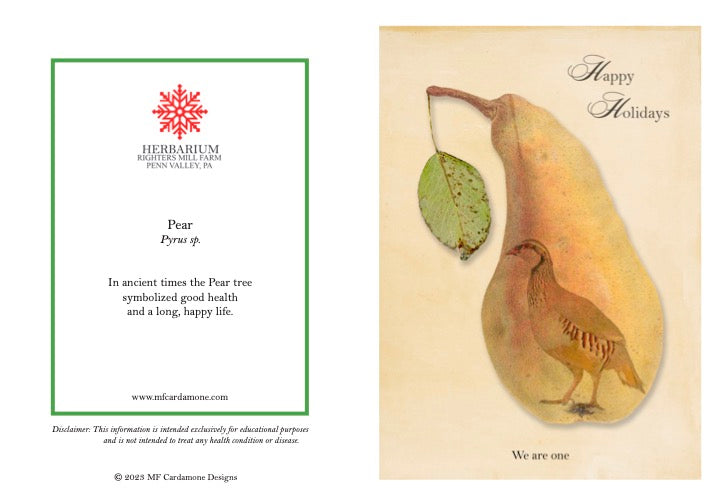 Holiday Notecards: Pear