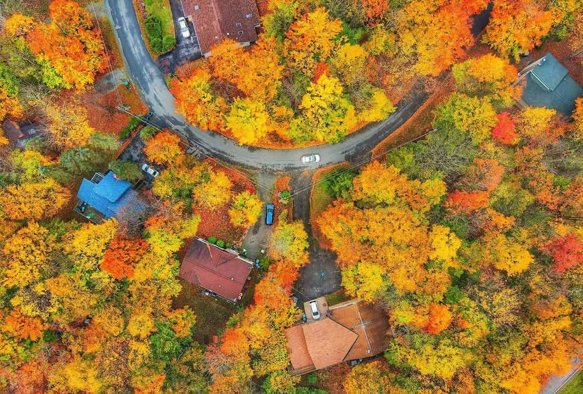 Wiz Eyes: Pocono Foliage