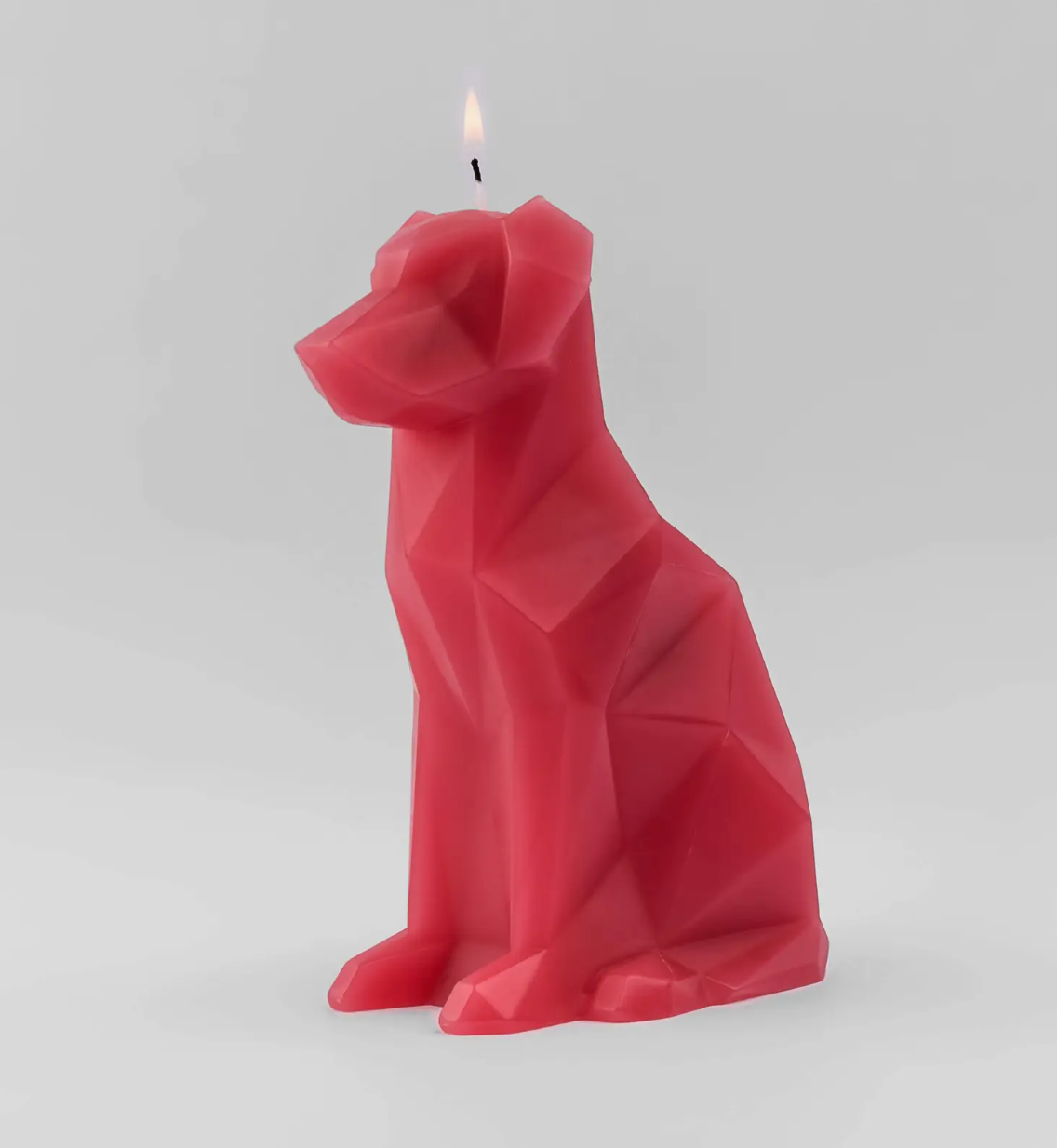 Pyropet Voffi Berry - Dog Candle