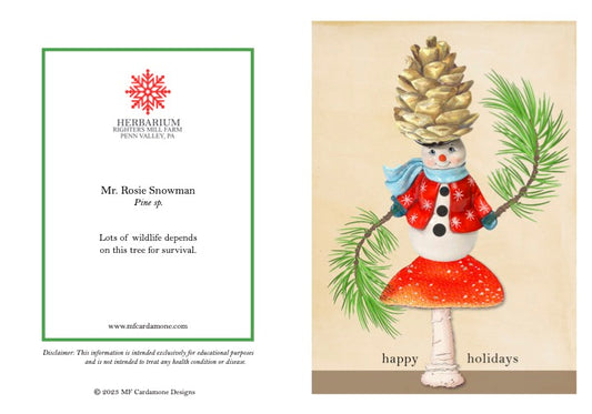 Holiday Notecards: Mr. Rosie Snowman