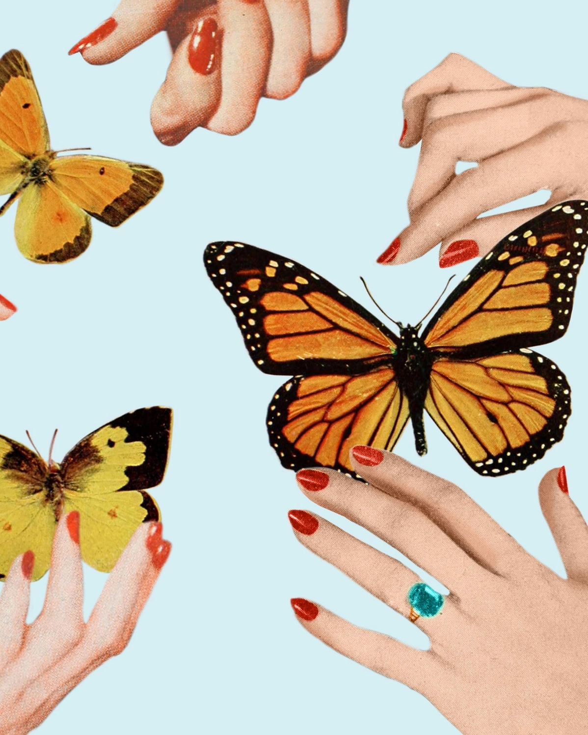 Social Butterflies, Open Edition Print by Julia Walck