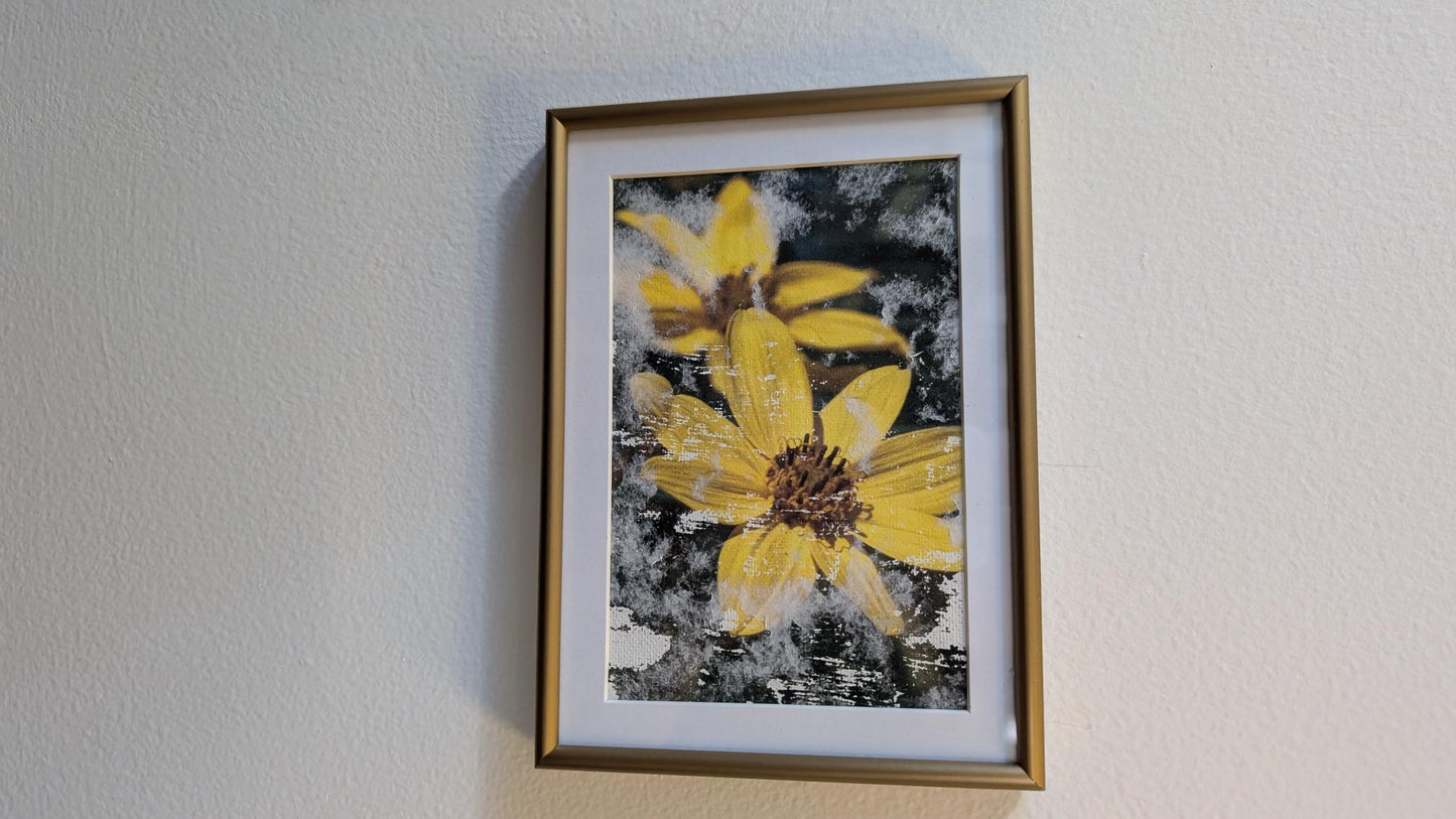 Luisa Ossa: Sunflowers