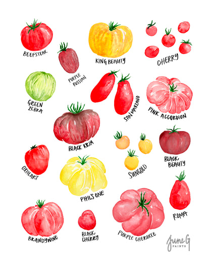 June G Paints: Tomatoes