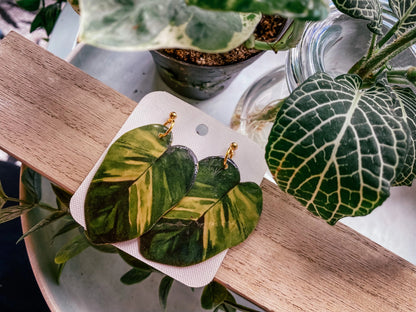 Golden Pothos Leaf Earrings
