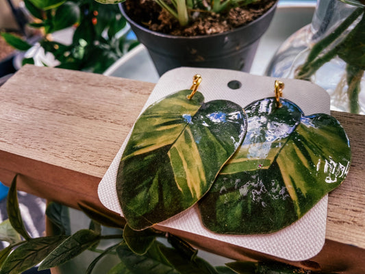 Golden Pothos Leaf Earrings