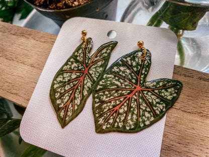Caladium Leaf Mismatch Earrings