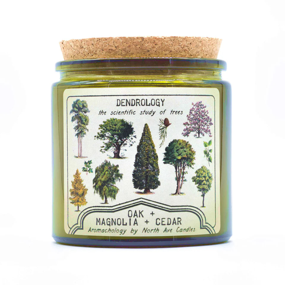 North Ave Candles Dendrology Candle