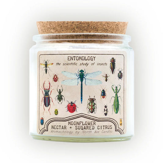 North Ave Candles Entomology Candle